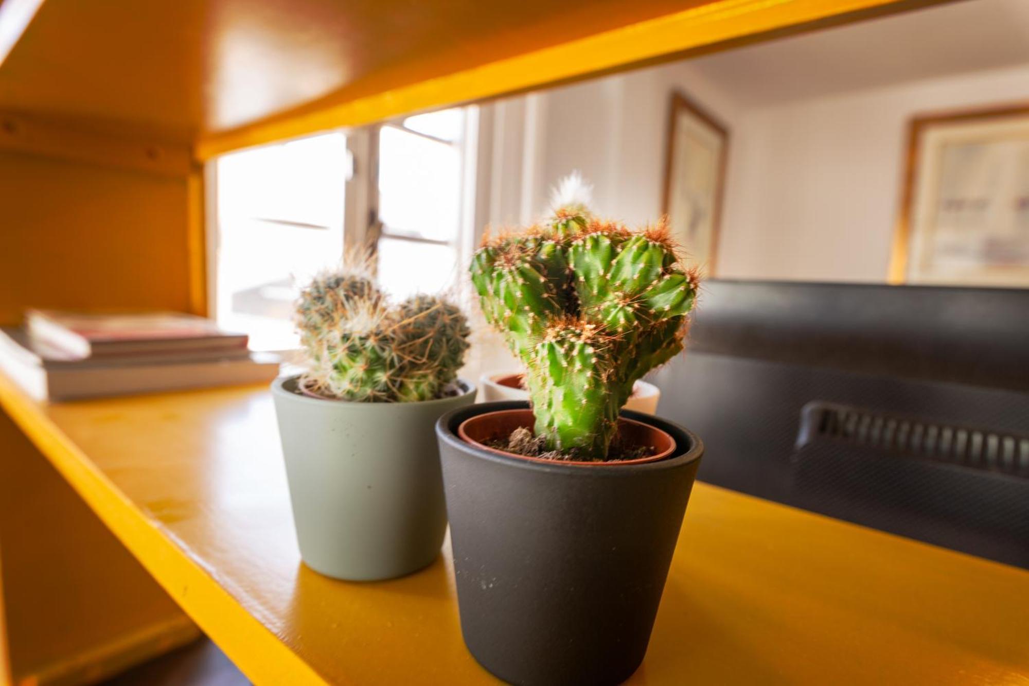 Duquesa Port Studio Apartment - Bright Sunlit Terrace 马尼尔瓦 外观 照片