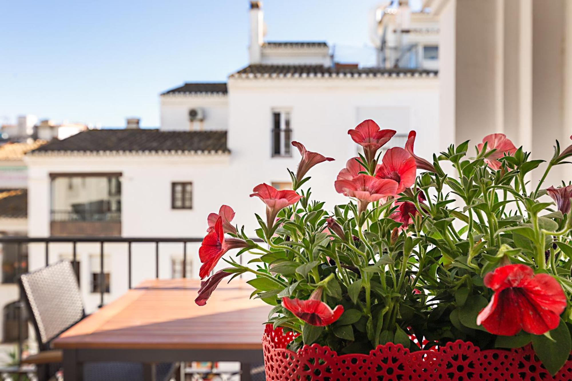 Duquesa Port Studio Apartment - Bright Sunlit Terrace 马尼尔瓦 外观 照片